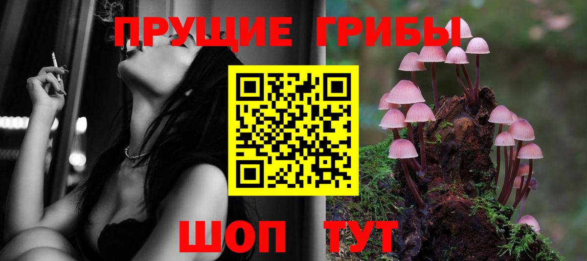 Ярославль  Галлюциногенные грибы Cubensis  Вход с VPN  Галлюциногенные грибы MAGIC MUSHROOMS 